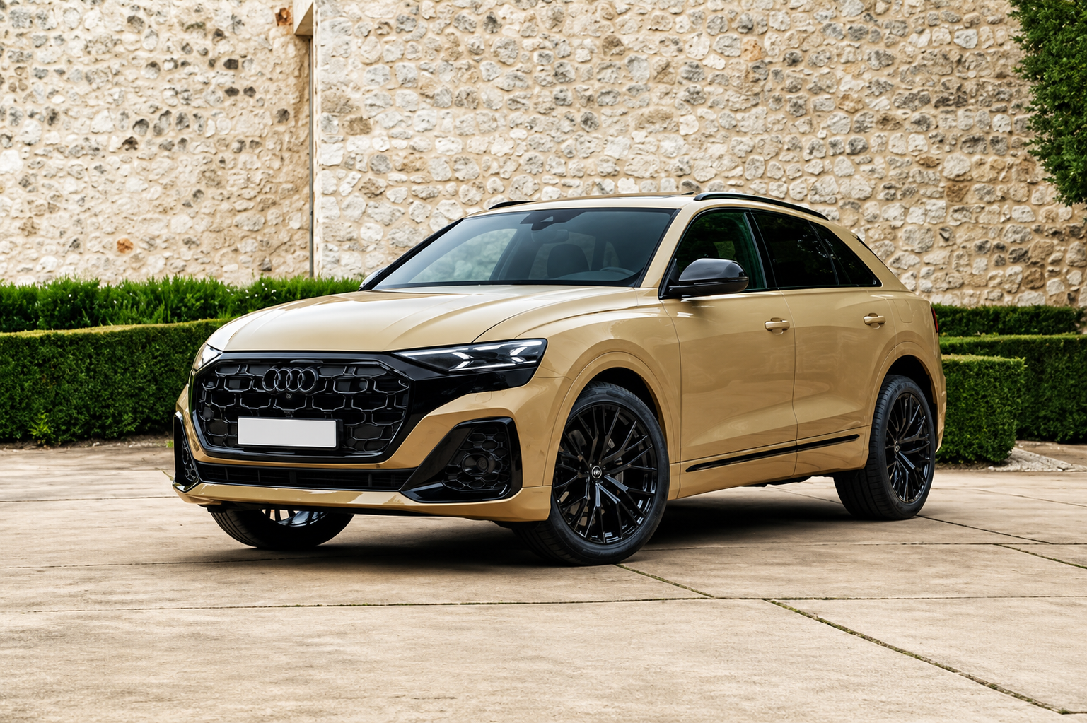 Audi Audi Q8 55 TFSI Technology