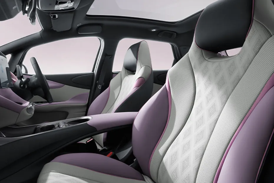 BYD Dolphin Standard