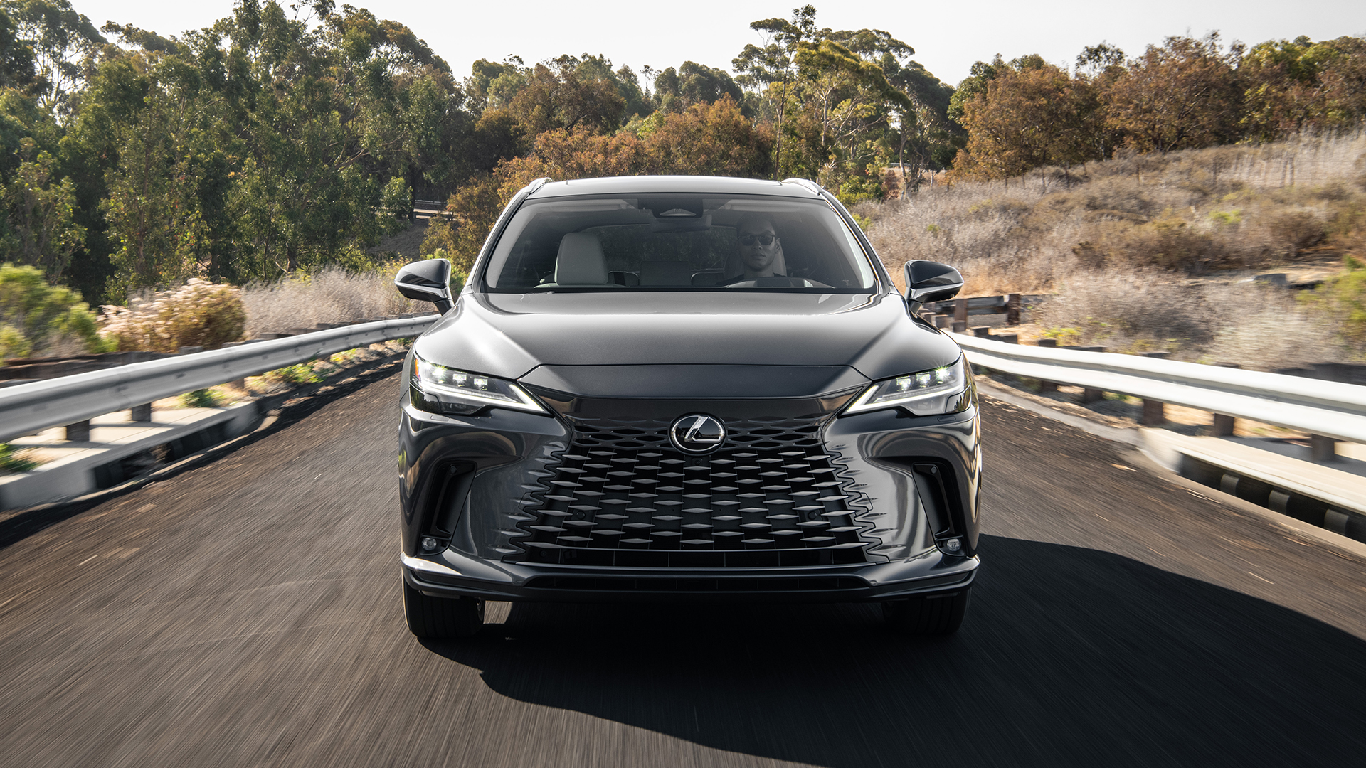 Lexus RX 450h+ PHEV