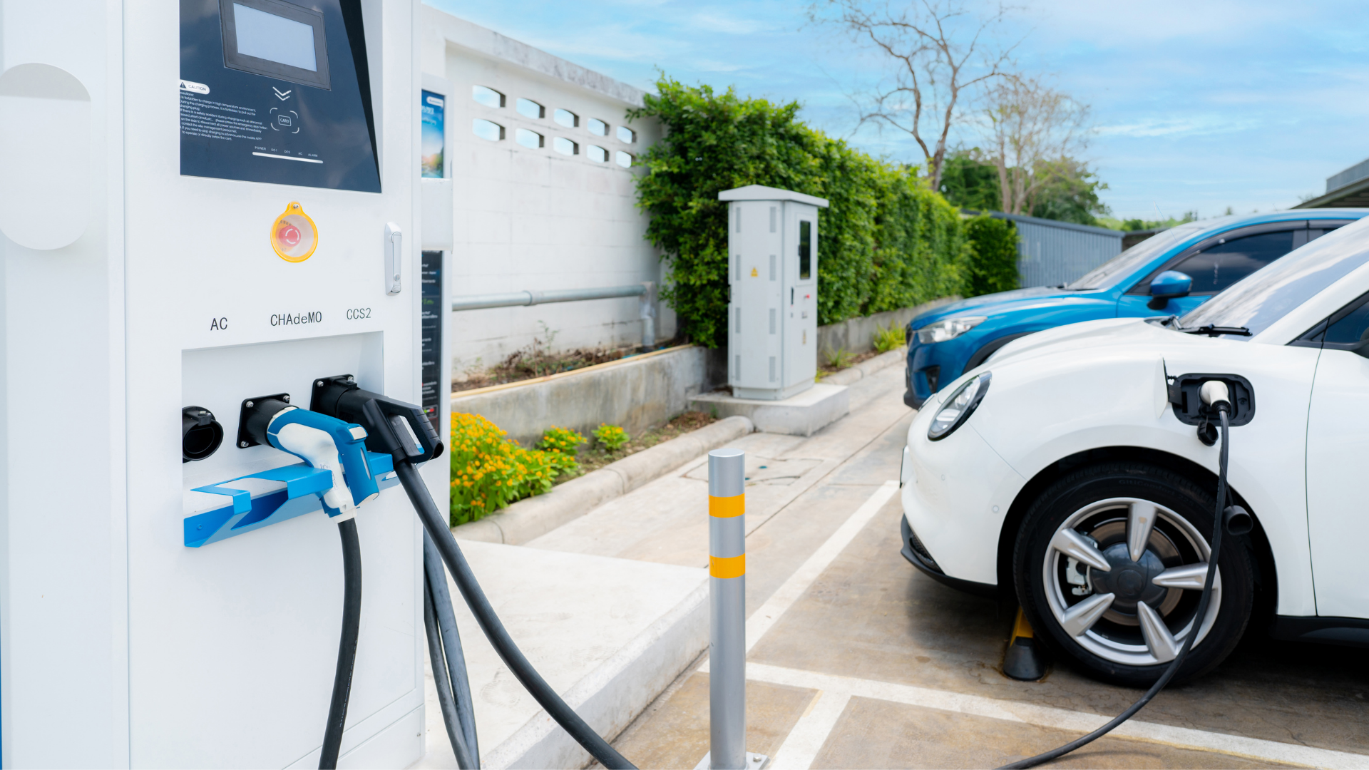 Alternative-Fuel Cars Reach 40% of Sales as EV Demand Surges